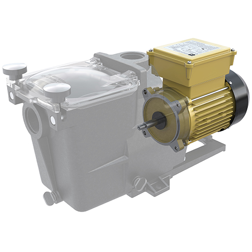 TEFC Replacement Motor